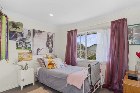 Photo of property in 60 Raukawa Drive, Bethlehem, Tauranga, 3110