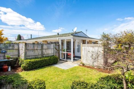 Photo of property in 38 Twentythird Avenue, Gate Pa, Tauranga, 3112