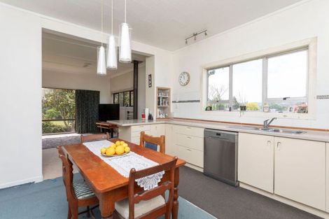 Photo of property in 546 Norsewood Ormondville Road, Ormondville, Dannevirke, 4977