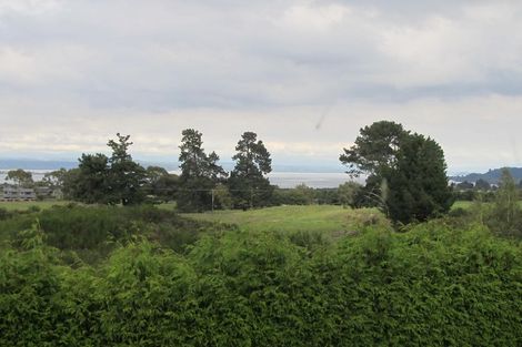 Photo of property in 55 Watene Lane, Nukuhau, Taupo, 3330