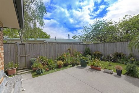 Photo of property in 56a Buscomb Avenue, Henderson, Auckland, 0610