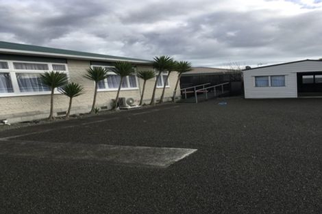 Photo of property in 11a Douglas Street, Levin, 5510