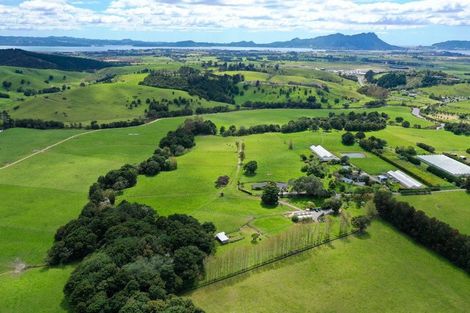 Photo of property in 145a Port Marsden Highway, Ruakaka, 0171