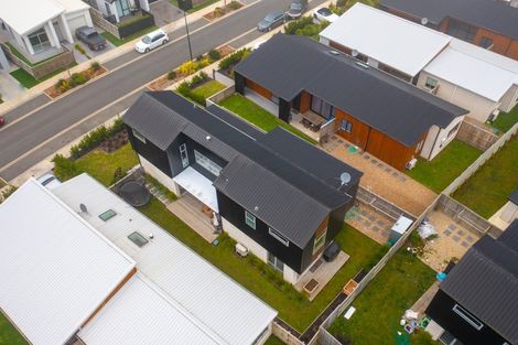 Photo of property in 21 Whakapono Avenue, Baverstock, Hamilton, 3200