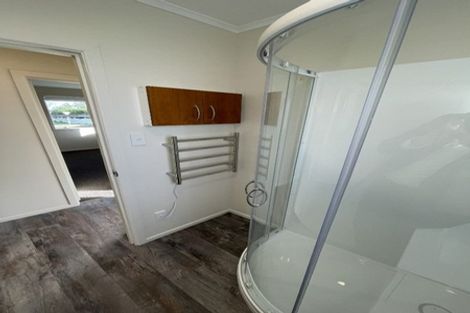 Photo of property in 19 Jupiter Street, Rosehill, Papakura, 2113