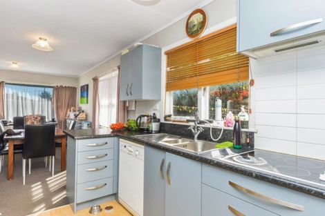 Photo of property in 55 Mears Road, St Andrews, Hamilton, 3200