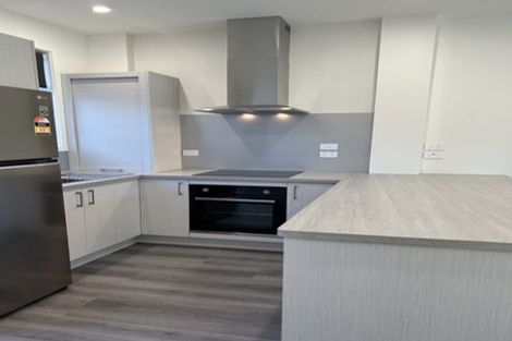 Photo of property in 46b Halifax Street, Nelson, 7010