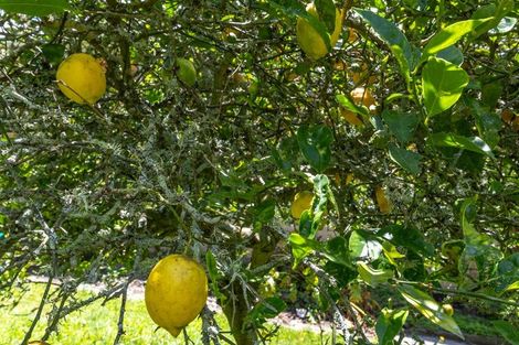 Photo of property in 4 Mcvie Road, Huntly, 3700