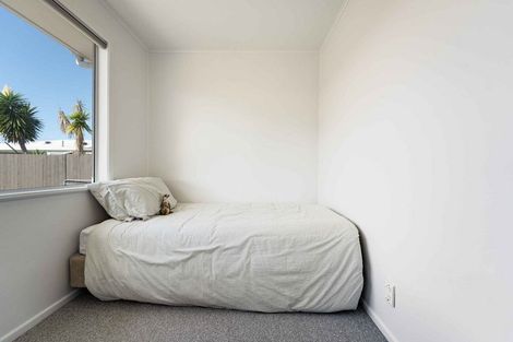 Photo of property in 20 Paterson Street, Mount Maunganui, 3116