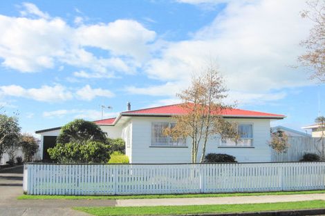 Photo of property in 19 Stirling Street, Levin, 5510