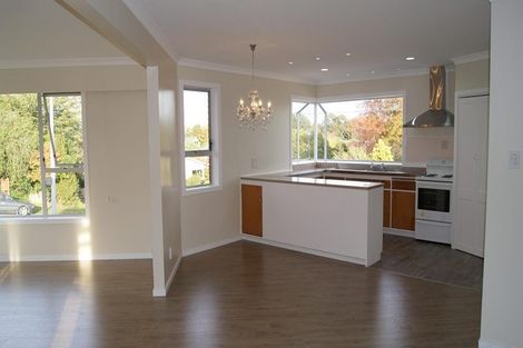 Photo of property in 40 Alison Street, Hamilton Lake, Hamilton, 3204