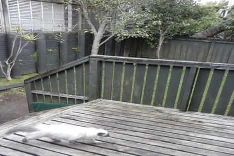 Photo of property in 10a Roxy Terrace, Glendowie, Auckland, 1071