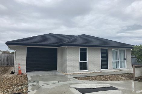 Photo of property in 39 Sare Crescent, Fairfield, Hamilton, 3214
