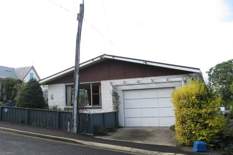 Photo of property in 17 Bruce Street, Roslyn, Dunedin, 9011