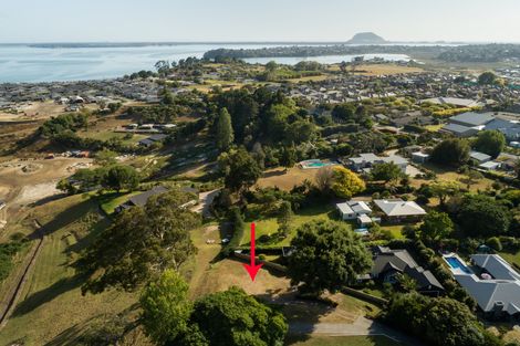 Photo of property in 40 Black Barn Lane, Bethlehem, Tauranga, 3110