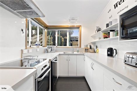 Photo of property in 77 Wright Street, Mount Cook, Wellington, 6021