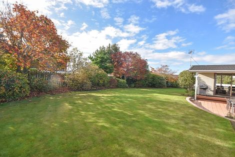 Photo of property in 3 Alfred Place, Fairfield, Dunedin, 9018