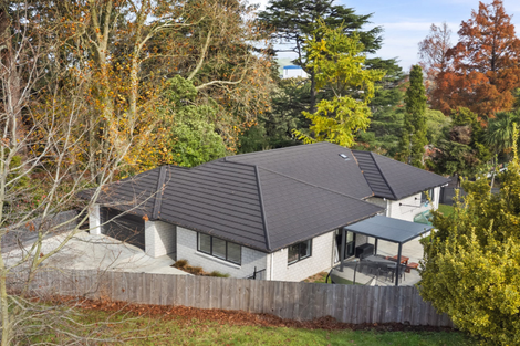 Photo of property in 10 Memorial Rise, Morrinsville, 3300