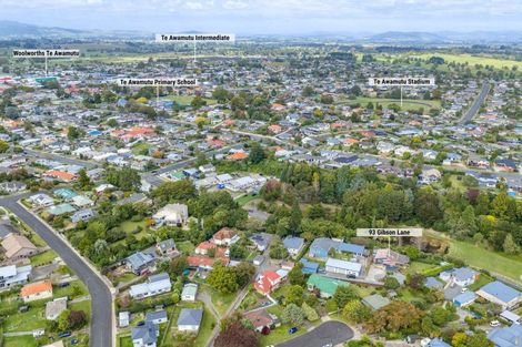Photo of property in 93 Gibson Lane, Te Awamutu, 3800