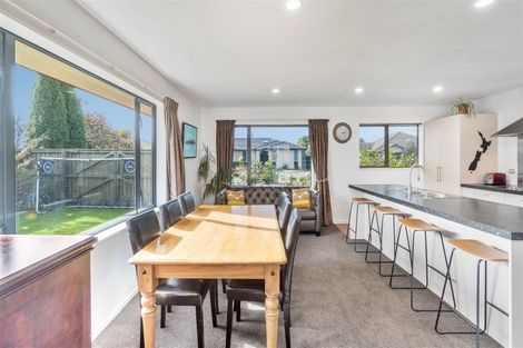 Photo of property in 31 Vasari Grange, Rolleston, 7614