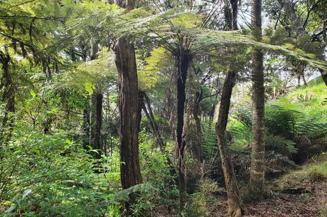 Photo of property in 204 Oyster Point Road, Kaukapakapa, Warkworth, 0984