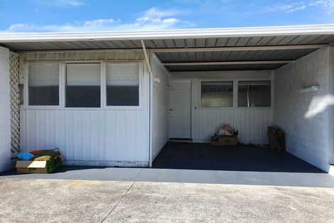 Photo of property in 14c Seccombes Road, Epsom, Auckland, 1023