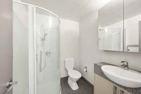 Photo of property in Dual Apartments, 506/142 Vivian Street, Te Aro, Wellington, 6011