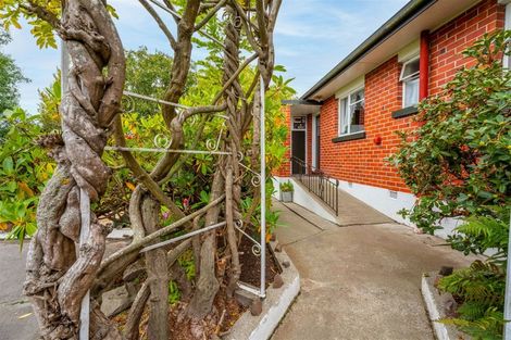 Photo of property in 23a Saint George Street, Watlington, Timaru, 7910