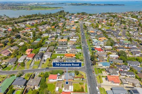 Photo of property in 74 Oakdale Road, Mount Roskill, Auckland, 1041