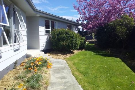 Photo of property in 131 Roxburgh Street, Heriot, Tapanui, 9587