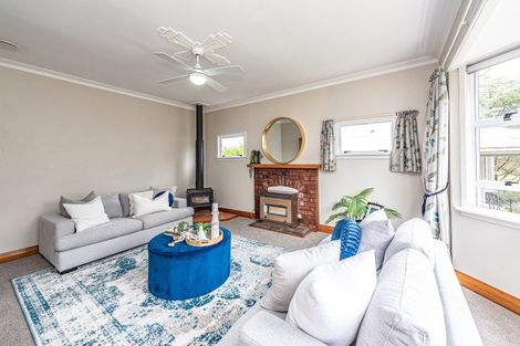 Photo of property in 17 Plunket Street, Durie Hill, Whanganui, 4500