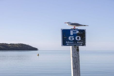 Photo of property in 1234 Sandspit Road, Sandspit, Warkworth, 0982