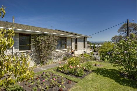 Photo of property in 36 Simla Avenue, Havelock North, 4130