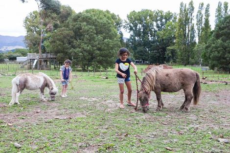 Photo of property in 72 Kuku Road, Pohangina, Ashhurst, 4884