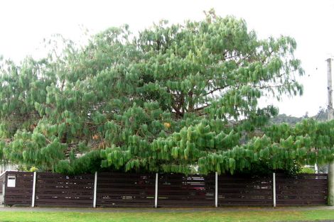 Photo of property in 335 George Street, Stokes Valley, Lower Hutt, 5019