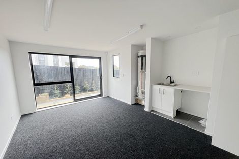 Photo of property in 677b Sandringham Road, Sandringham, Auckland, 1025