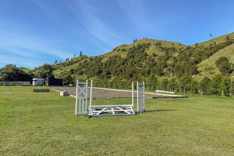 Photo of property in 387 Wentworth Valley Road, Whangamata, 3691