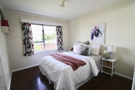 Photo of property in 156 Tiro Tiro Road, Levin, 5510