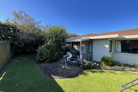 Photo of property in 227b Fifteenth Avenue, Tauranga South, Tauranga, 3112