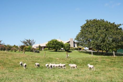 Photo of property in 456 Glue Pot Road, Oropi, Tauranga, 3173