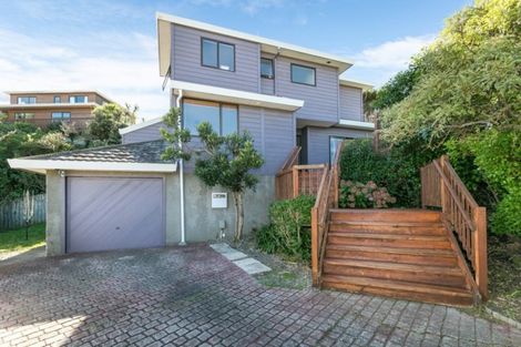 Photo of property in 66b Volga Street, Island Bay, Wellington, 6023