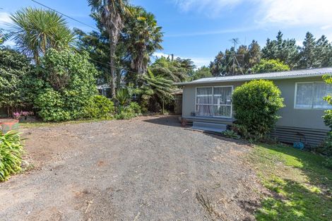 Photo of property in 15 Albert Street, Karangahake, Paeroa, 3674