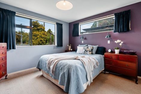 Photo of property in 45 Horace Street, Cromwell, 9310