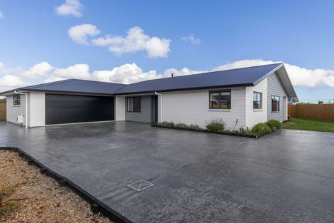 Photo of property in 12 Ash Close, Levin, 5510