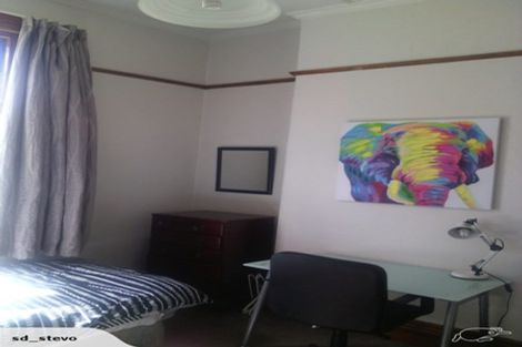 Photo of property in 390 Stuart Street, Roslyn, Dunedin, 9010