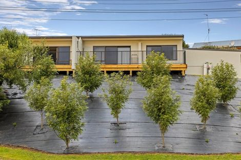 Photo of property in 4b Scott Street, Gate Pa, Tauranga, 3112