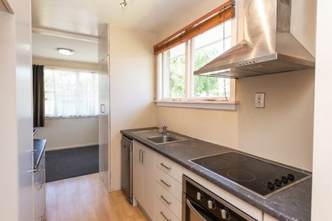 Photo of property in 58 Bordesley Street, Phillipstown, Christchurch, 8011