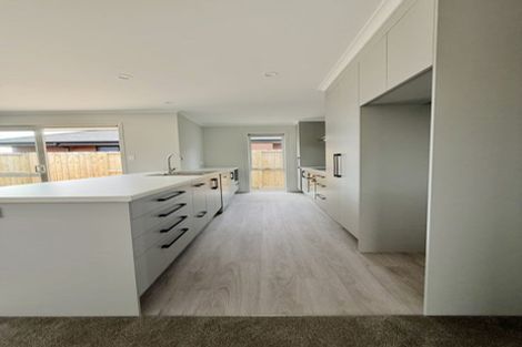 Photo of property in 49 Tamapahore Boulevard, Papamoa Beach, Papamoa, 3118