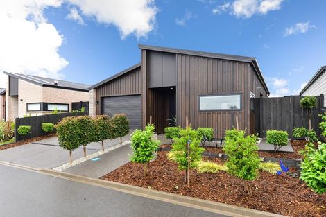 Photo of property in 21 Wairua Avenue, Baverstock, Hamilton, 3200