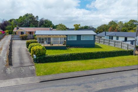 Photo of property in 20 Ruahine Street, Dannevirke, 4930